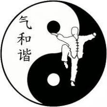 Stage annuel qi Gong & Taijizhang les  22 &23 mai 2026